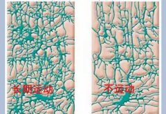 兒童茄子视频懂你更多IOS廠家科普運動可以有效促進兒童智力發育