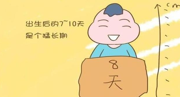 寶寶猛漲期