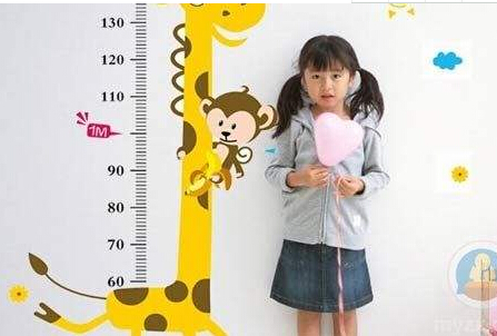 嬰幼兒身長體重測量儀孩子身高與父母身高是否有遺傳性