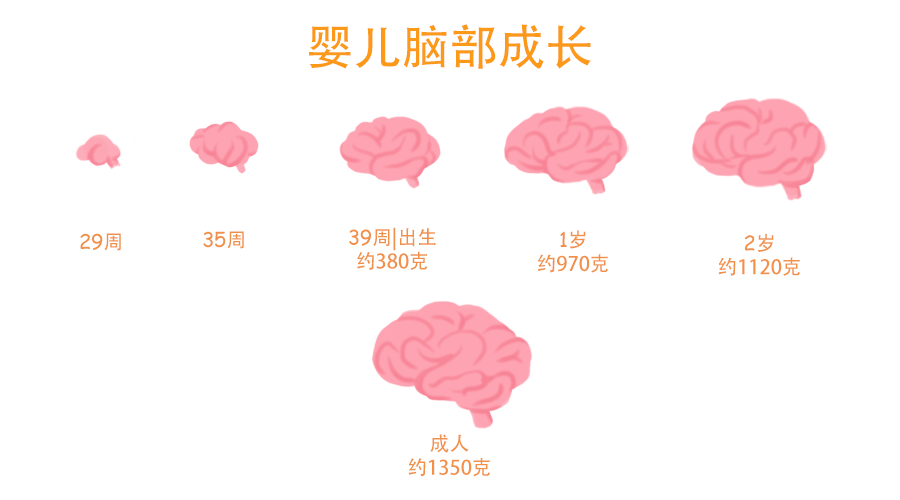 兒童智力測試評估係統有效促進兒童智力的發展