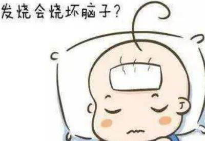 茄子视频在线网站品牌揭示發燒真的會燒壞腦子嗎